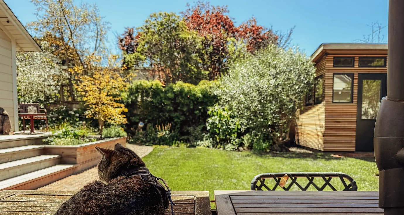 The building seen across the lawn from the house, with the cat sitting on the table in the foreground